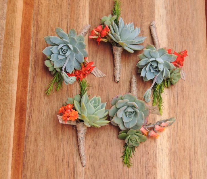 succulent boutonniere with orange kalonchoe bloom