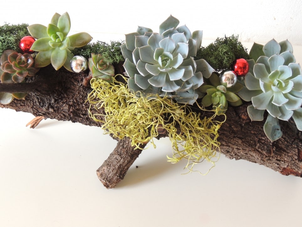 Christmas Yule Log