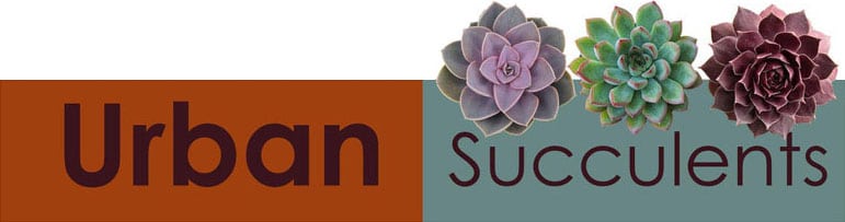 led light for growing plants indoors SuncoGrow, LED Grow Light, 2ft, 20W Full Spectrum, Linkable  Sunco Lighting