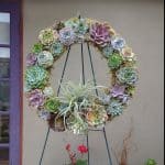 succulent wreath 25 inches