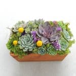 perle von nurnberg arrangement