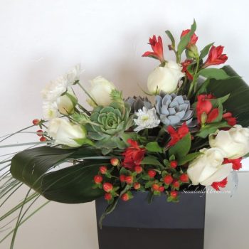 Succulent Arrangement Red and White