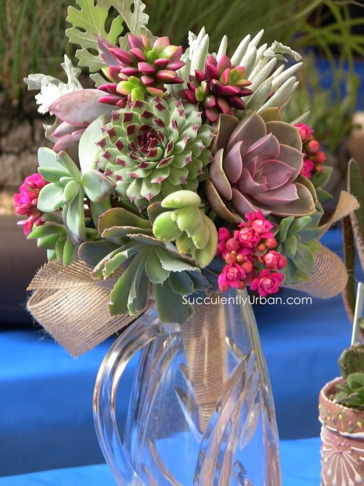 Succulent weddding bouquet Urban Succulents San Diego Succulent weddding bouquet Urban Succulents San Diego