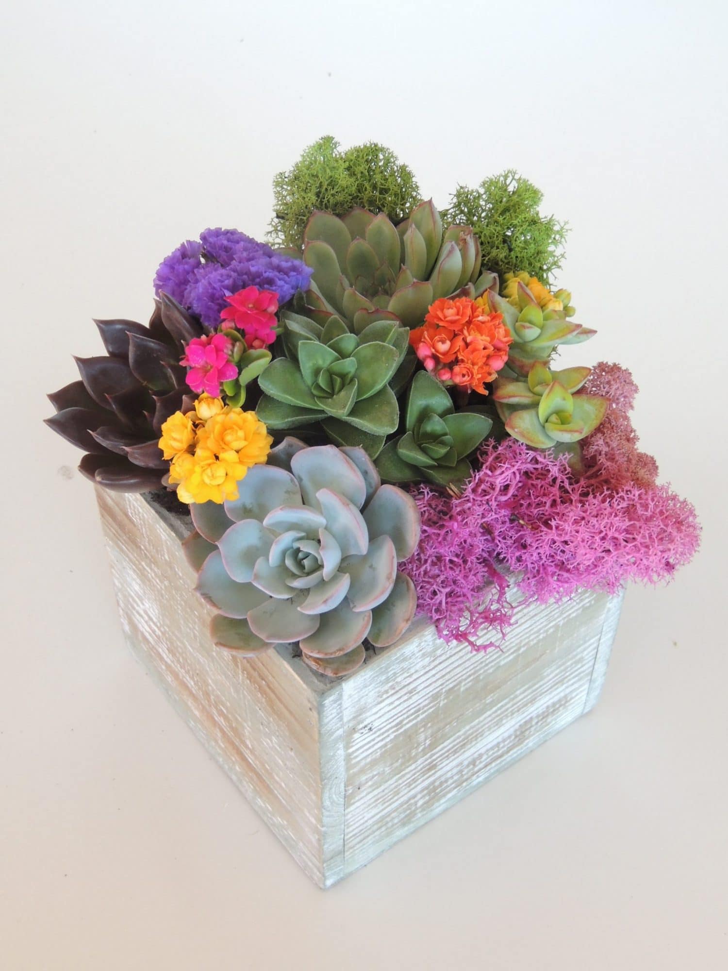  Succulent Arrangements for Simple Design