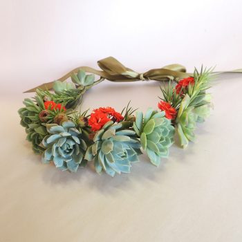 Succulent Crown