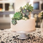 succulent cake toppers