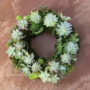 Succulent Wreaths