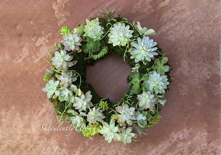 Succulent Wedding Bouquets Centerpieces More Urban Succulents Succulent Wreath