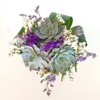 Succulent Bouquet "Nicole" Purple and green bouquet