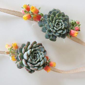 Succulent Corsage Ashley