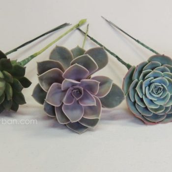 Collection of 10 wired succulents with purples