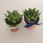 wedding favors in terracotta