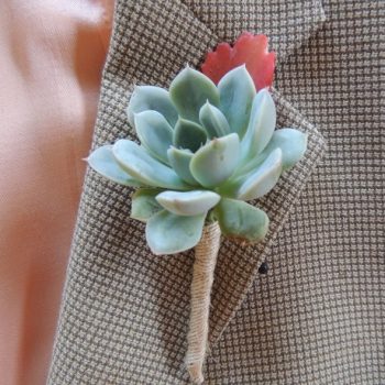 Additional Succulent Boutonniere