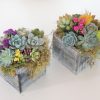 succulent arrangements