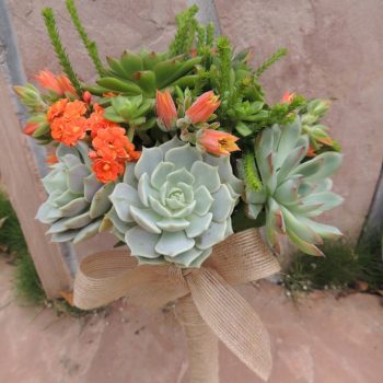 Succulent Graduation Bouquet