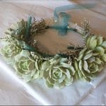 succulent crown