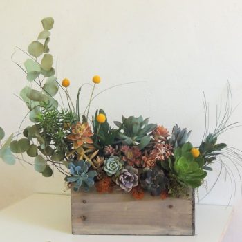 Succulent Table Arrangement