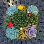 succulent-arrangement-9