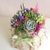 succulent arrangement in birch bark box