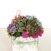 Candice succulent arrangement in birch box