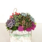 Candice succulent arrangement in birch box