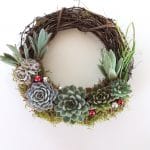 Succulent Christmas wreath