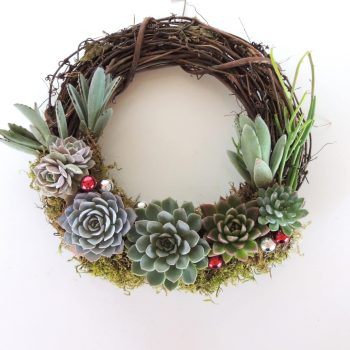 Succulent Christmas Wreath Crescent