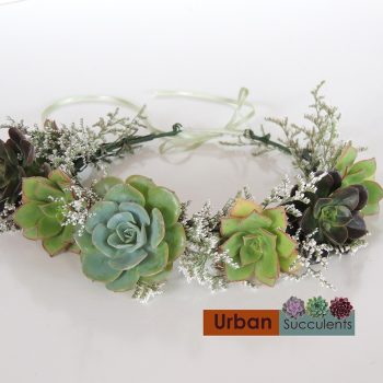 Succulent Hair Decoration 3/5/22