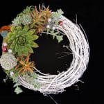 Succulent Christmas wreath.