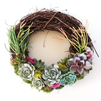 Succulent Wreath Crescent