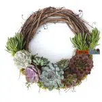 Succulent wreath