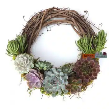 Succulent Wreath Crescent