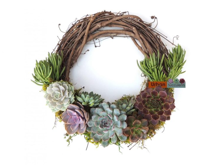 Succulent wreath