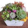 succulent arrangement-vintage