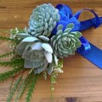Succulent bouquet with 3 rosettes.