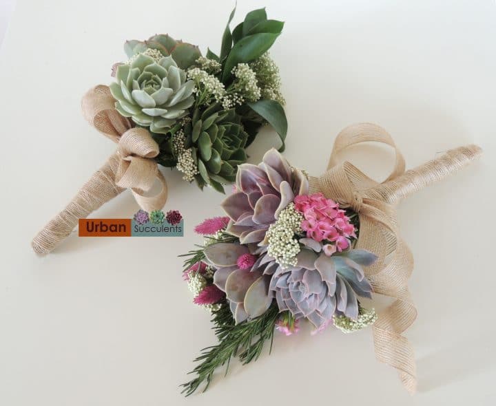 Succulent bouquet for bridesmaid.