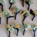 group of succulent boutonnieres