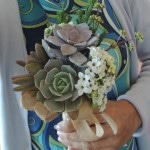 triple succulent bouquet