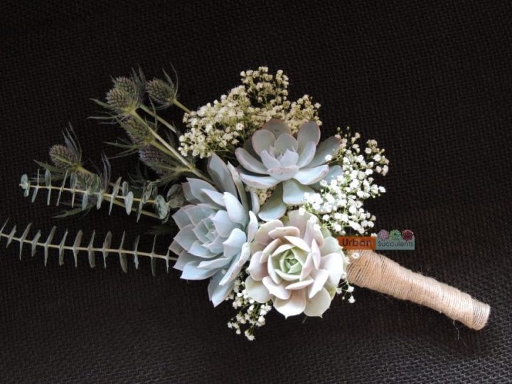 succulent and thistle bouquet