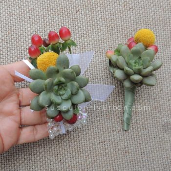 Succulent Boutonniere and Corsage set "A"