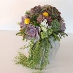 cascading succulent-bouquet
