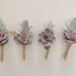 Succulent boutonniere