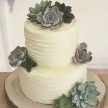 Succulent Cuttings for Cake Toppers