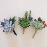 Three variations of succulent boutonnieres