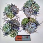succulent bouquets