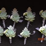 silver succulent boutonniere