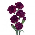 carnation flowers are used for a pop of color