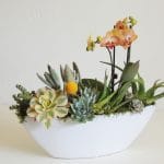 Succulent arrangement with orchid, in boat shaped vessel.