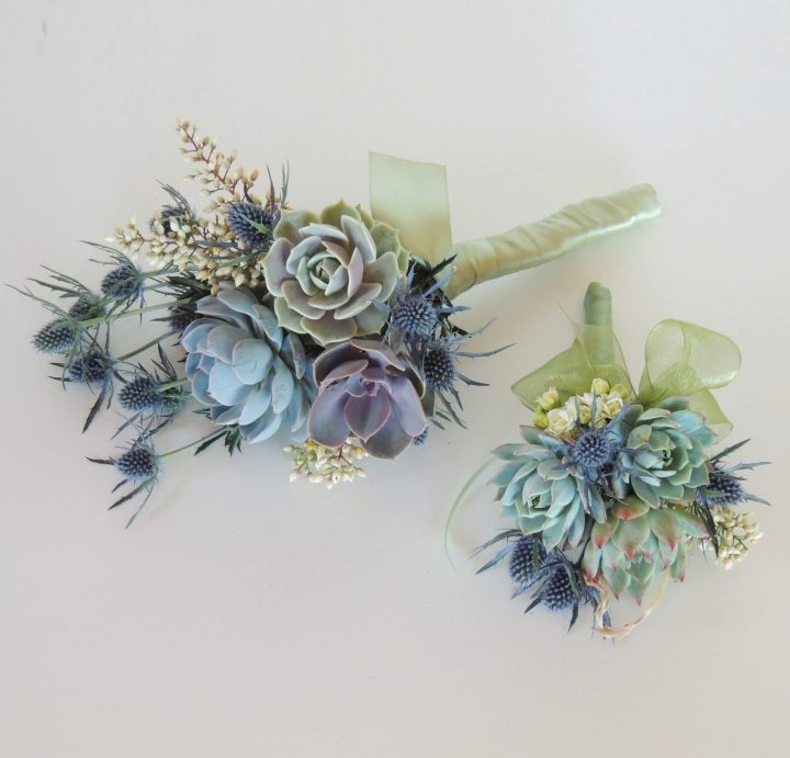 Succulents and thistle