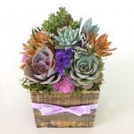 succulent-arrangement with lavender ribbon